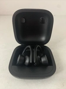 Beats by Dr. Dre - Powerbeats Pro Totally Wireless Earbuds - Black - Picture 1 of 6