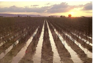 #2074 First Day Ceremony Program Soil & Water Conservation - Picture 1 of 2