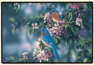 DOORMAT--18" X 27"--BLUEBIRDS by Fiddler's Elbow - Picture 1 of 1