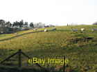 Photo 6x4 Pastures near Thornley Gate Allendale Town  c2007
