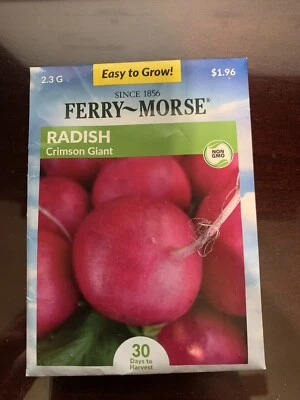 Paquete de semillas marca FERRY-MORSE, rábano no transgénico carmesí gigante 2,3 g Foto 1 de 2