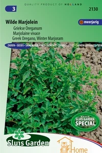 Wild Marjoram Greek Oregano Seeds: Grow Delicious, Aromatic Oregano - Picture 1 of 1