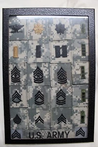 US Military Issue Patch Collection Group Framed up for Wall Army ACU Authentic - Bild 1 von 5
