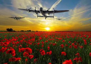 Campos de amapola Avro Lancasters sobre la puesta del sol impresiones de lona varios tamaños - Imagen 1 de 6