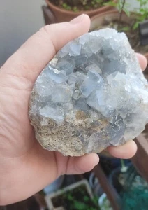 Minerale da collezione CELESTINA Naturale semi burattata - Foto 1 di 4
