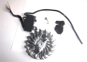 Husqvarna T540 XP II Chainsaw Coil and Flywheel - OEM - Picture 1 of 3