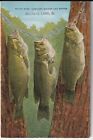 1937 Black Bass Fishing Postcard Posted Buckeye Lake Ohio Linen EC Kropp Co