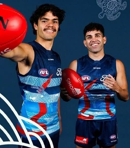 Geelong Cats AFL 2025 First Nations Indigenous Guernsey Sizes S-5XL! - Picture 1 of 3