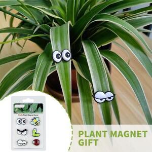 Cute Plant Magnets Eyes Bees for Potted Plants Safe Magnet Pins Ornaments Sell