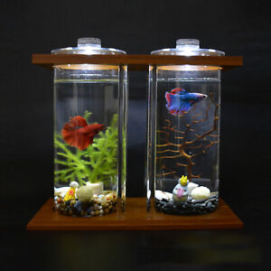 Dual Glass Desktop Fish Tank Home Office Betta Aquarium Set LED Light Ornaments