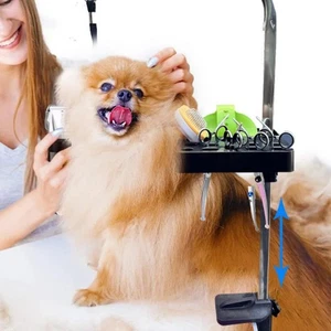 Pet Grooming Tools Organizer Holder Practical Easy Installation Pet Grooming - Picture 1 of 6