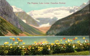 Postcard Poppies Lake Louise Alberta Canada Canadian Rockies Linen Unposted - Picture 1 of 2
