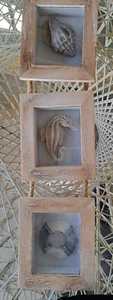 Coastal, Nautical, Beachy, Seashore, Shells, 3-Hanging Plaques Decor Wood Rope - Picture 1 of 7