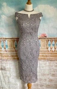 Dress 8 Grey Lace Silver Sequin Bardot Stretch Quiz Bodycon Knee Midi Length - Picture 1 of 5