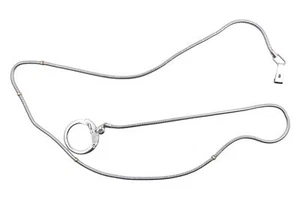 Kameraschlaufe Camera Chain Camera Strap IN Silver Made of Metal for Minox C&b - Picture 1 of 1