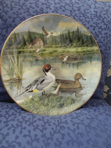 Knowles Fine China Plate"THE PINTAIL" Limited Edition. 1986 - Picture 1 of 8