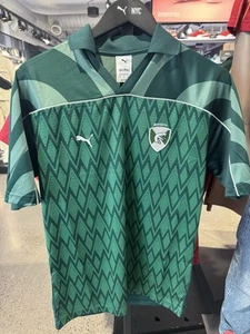 Harry Potter Wizarding World NY x PUMA Slytherin Adult Relaxed Soccer Jersey - Picture 1 of 5