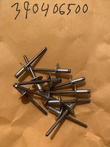 Ski-doo Pop Rivets 3/16" 390406500 Summit Legend Grand Touring MX Lot of 10 - Picture 1 of 5
