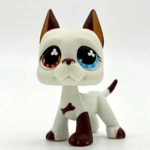 Littlest Pet Shop Authentic # 577 White Brown Great Dane Brown Blue Clover Eyes - Picture 1 of 7