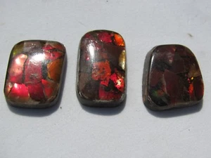 Beautiful Lot (3) Ammonite Cabs.85 cts. Alberta, Canada - Picture 1 of 6