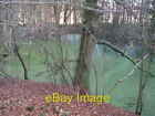 Photo 6x4 Green pond beside Bridleway in Bushy Copse Monk's Gate  c2008