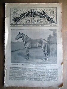 American Horse Breeder Magazine - February 12, 1895 Issue