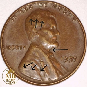1955 Lincoln Wheat Cent - Multi Die Crack and Die Clash Obverse- Rare Error Coin - Picture 1 of 5