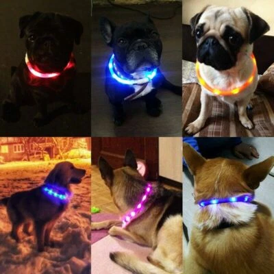 DOTTED LED RECHARGEABLE Light-up Flash GLOW COLLAR Dog Pet MICRO USB adjustable