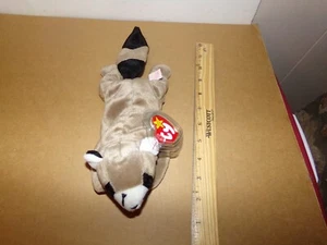 Ty Beanie Babys - 1995 RINGO Waschbär - nicht mehr produziert mit Etikett - Bild 1 von 2