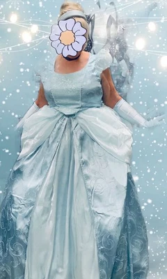  Disney Cenicienta Vestido de Baile Talla 14 P Princesa Disfraz Vacaciones Halloween Vestido   Foto 1 de 4