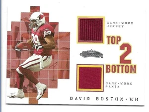 Camiseta y pantalones David Boston 2002 Fleer Showcase Top 2 Bottom usados en juegos/250 - Imagen 1 de 2