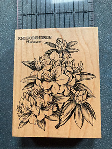 PSX  K-2200 RHODODENDRON Flower Botanical Wood Mounted Rubber Stamp, 1997