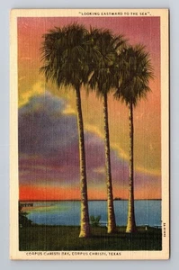 Corpus Christi TX-Texas, Corpus Christi Bay, antike Vintage Souvenir Postkarte - Bild 1 von 2