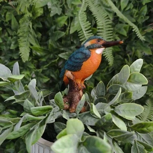 Vivid Arts Plant Pals - Kingfisher Plant Pal - (PLP-104) - Picture 1 of 8