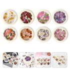 8 Boxes Nail Patch Art Stud Decals Flat Back Charms 3d Flower Stickers
