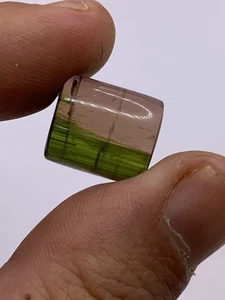 Tourmaline Bicolore  Polychrome Madagascar Liddicoatite 16,85ct FMG Collection - Picture 1 of 6