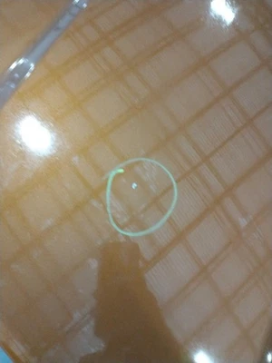 2017 Ford Explorer OEM Used Hood Panel Orange FB5Z16612A 119k Mi 4WD - Imagem 1 de 2