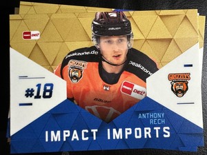LED Playercard 2021 2022 IMPACT IMPORTS RIGHT GRIZZLYS WOLFSBURG II15