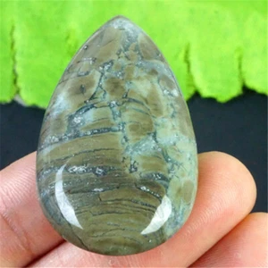 JT19762 44x24x7mm Natural Crystal Green/white Ocean Jasper Teardrop Pendant - Picture 1 of 1