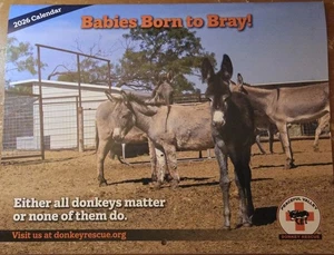 Wandkalender 2026 Peaceful Valley Eselrettung Babys Born To Bray 13 Monate - Bild 1 von 3