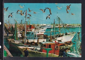 AK San Benedetto del Tronto il Porto MC259 - Bild 1 von 1