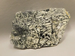 Pinolith Rough Rock Unpolished Stone Slab Pinolite Austria #O5 - Picture 1 of 4