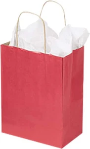 Papier Einkaufstüten 100 rot 8 1/4” x 5” x 10 1/2” Einzelhandelsware Geschenk Kraftpapier - Bild 1 von 3