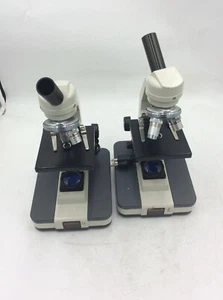 Lot Of 2 Wards Essentials Standart Compound Microscope With 2 Objectives - Picture 1 of 9