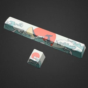 Coral Sea Dyesub PBT Keycaps Set ESC + Spacebar 6.25U fit Cherry MX Keyboards - Picture 1 of 4