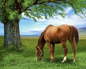 Grazing Horse Cotton Fabric Panel, 35" x 44" $3.99 Ships Any Amount Of Fabric - Picture 1 of 1
