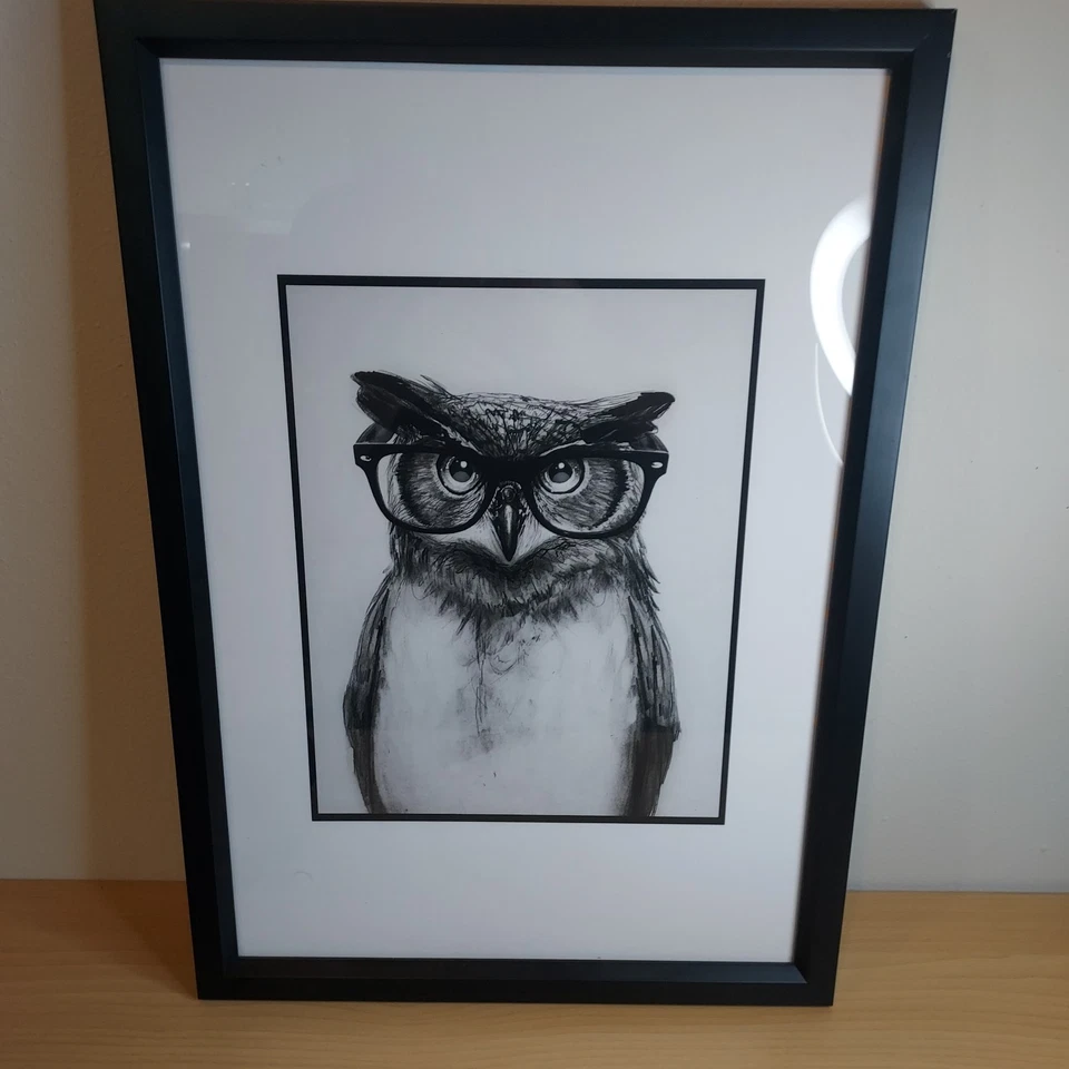 Arte colgante de pared de búho 3 cuadros diferentes enmarcados 26x20 Foto 1 de 3