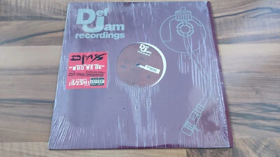 DMX - WHO WE BE VINYL LP 12" - Ruff Ryders - Bild 1 von 4