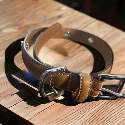 NUEVO COACH RARO Dije Collar de Perro Cuero Tachonado Ojales Sillín Mediano 8848 Foto 1 de 4