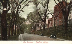 The Common Roadway Trees Building Landmark Boston Massachusetts Vintage Postcard - Picture 1 of 2